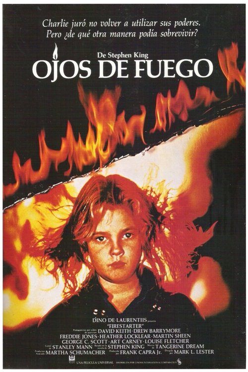 Póster de Llamas de venganza