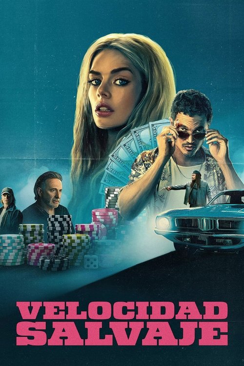 Póster de La conductora