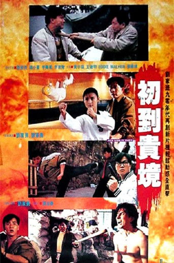Póster de 初到貴境