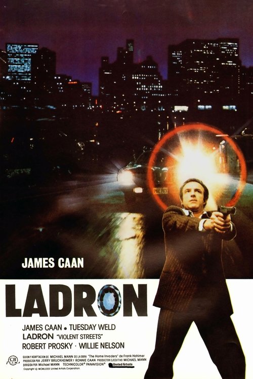Póster de Ladrón