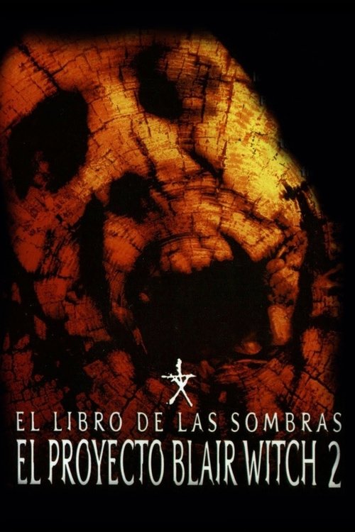 Póster de El Libro de Las Sombras: Bruja Blair 2