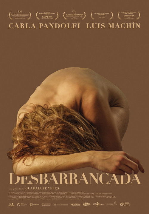 Póster de Desbarrancada