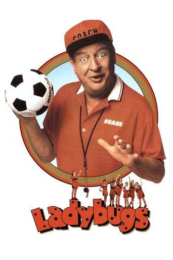 Póster de Ladybugs