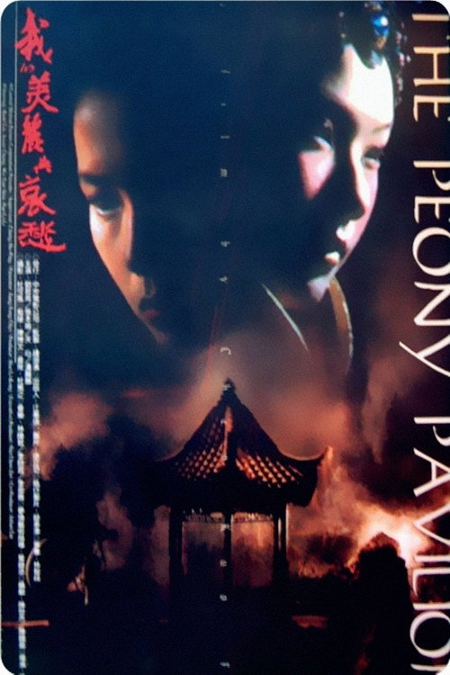 Póster de 我的美麗與哀愁