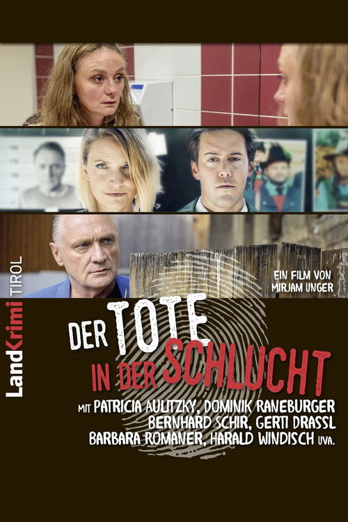 Póster de Der Tote in der Schlucht