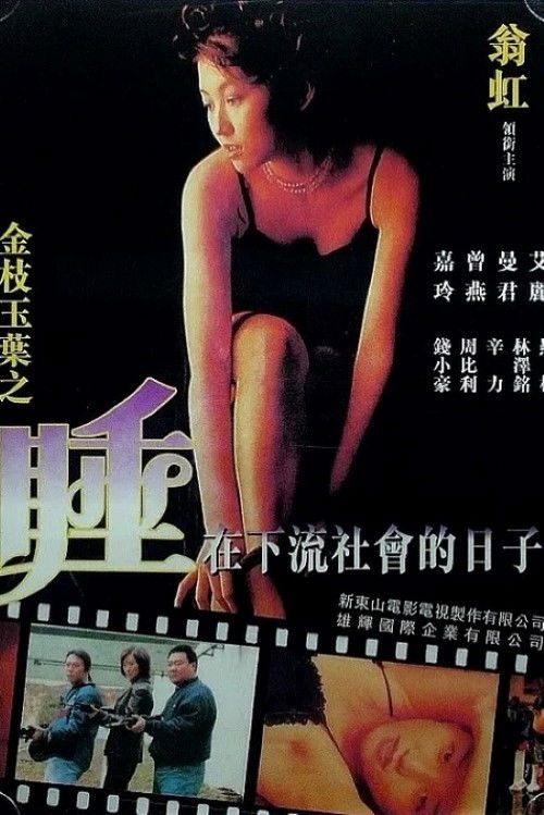 Póster de 金枝玉叶之睡在下流社会的日子