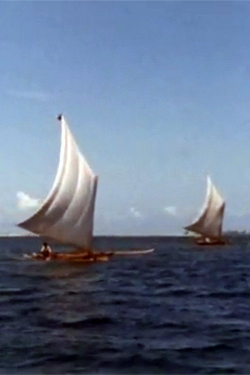 Póster de ブブアンの海賊