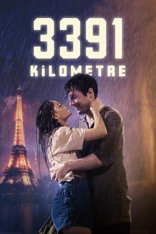 Póster de 3391 Kilometre