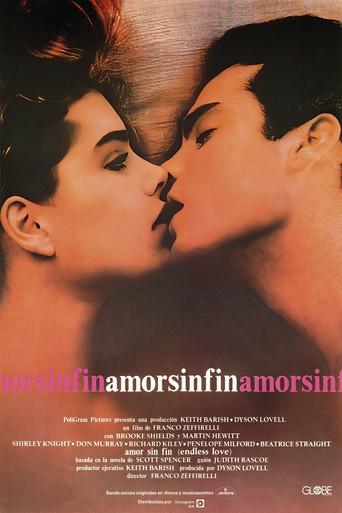 Póster de Amor sin fin