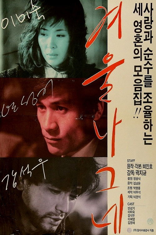 Póster de 겨울 나그네