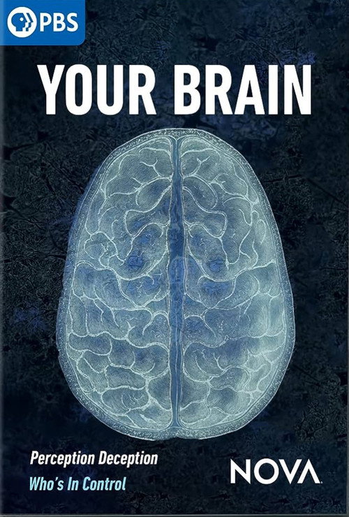Póster de Your Brain