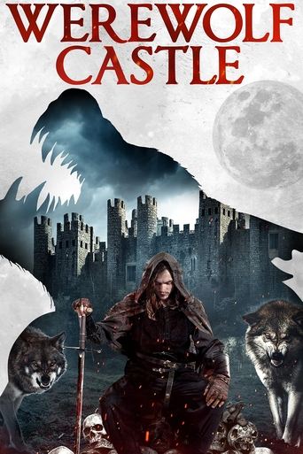 Póster de El castillo del hombre lobo