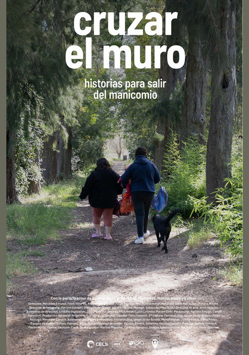 Póster de Cruzar el muro