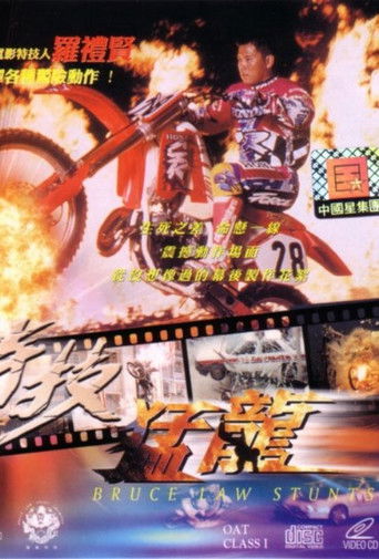 Póster de 特技猛龍