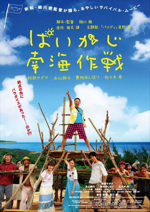 Póster de ぱいかじ南海作戦