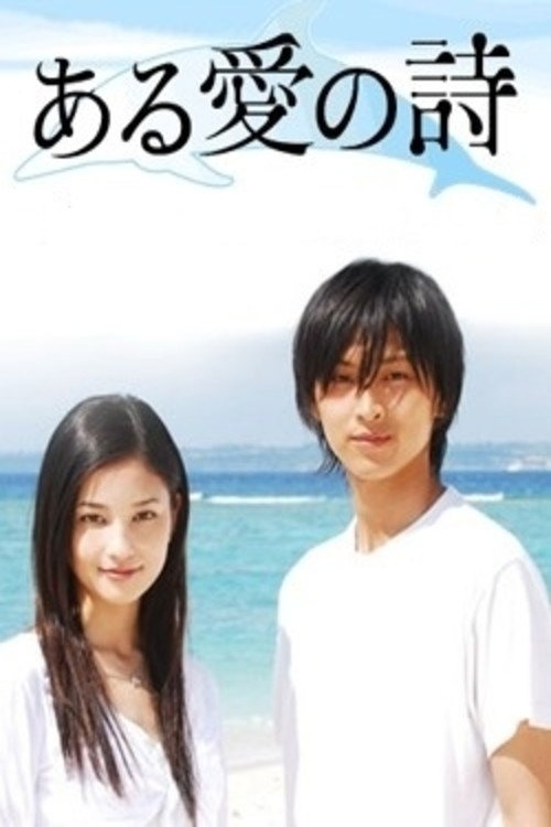 Póster de ある愛の詩