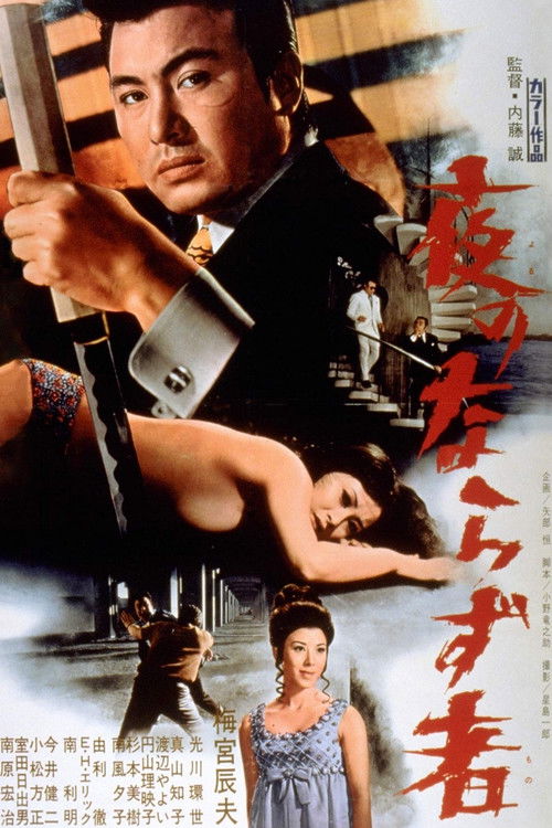 Póster de 夜のならず者