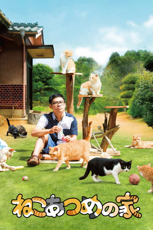 Póster de ねこあつめの家