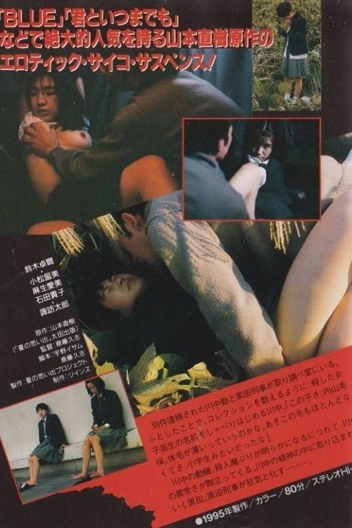 Póster de 夏の思い出 異・常・快・楽・殺・人・者