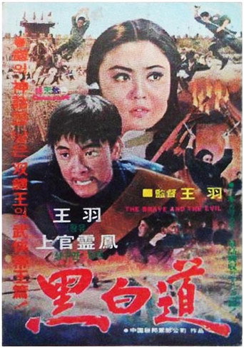 Póster de 黑白道
