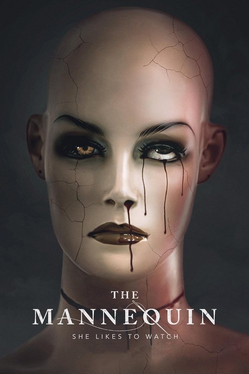 Póster de The Mannequin