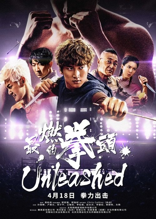 Póster de 最燃的拳頭