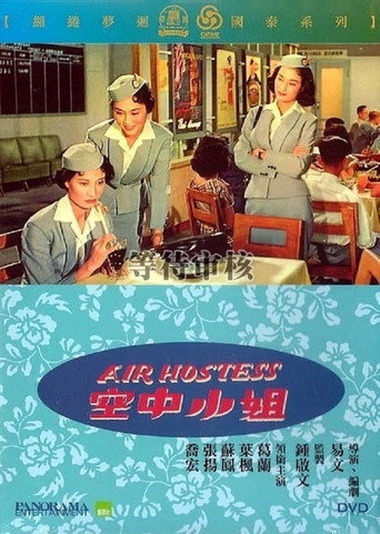 Póster de 空中小姐