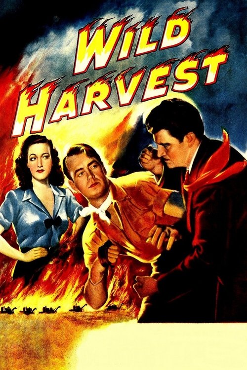 Póster de Wild Harvest