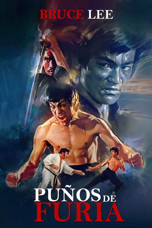 Póster de Puño de furia