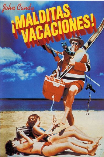 Póster de Verano de locura