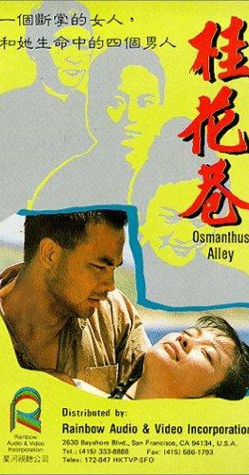 Póster de 桂花巷