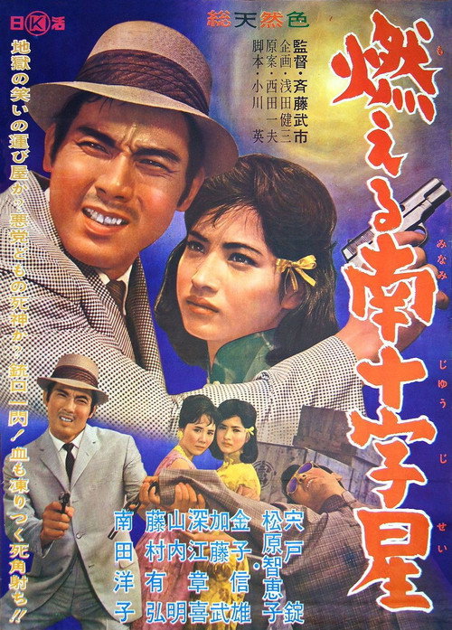 Póster de 燃える南十字星
