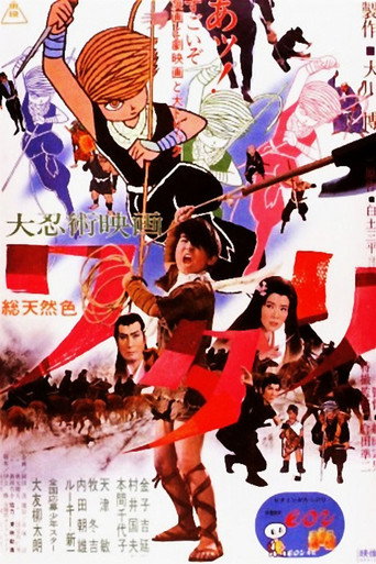 Póster de 大忍術映画　ワタリ