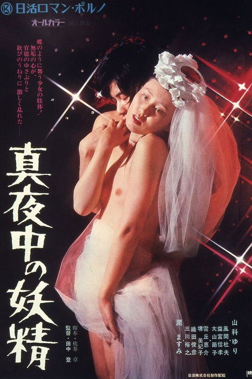 Póster de 真夜中の妖精