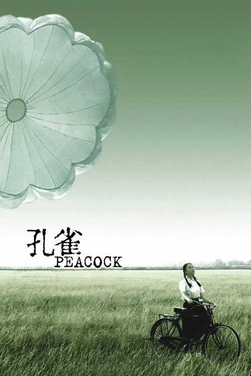 Póster de 孔雀