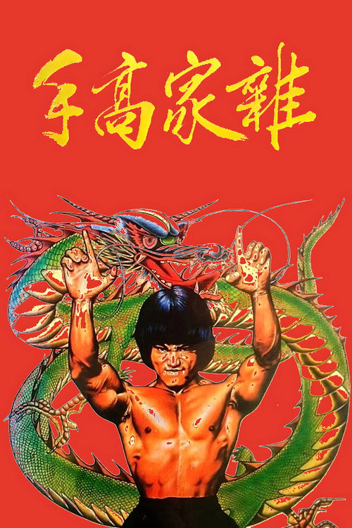 Póster de 雜家高手