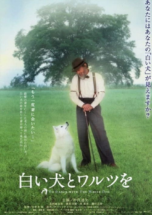 Póster de 白い犬とワルツを