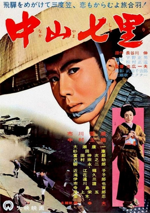 Póster de 中山七里