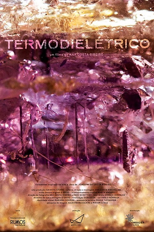 Póster de Termodielétrico