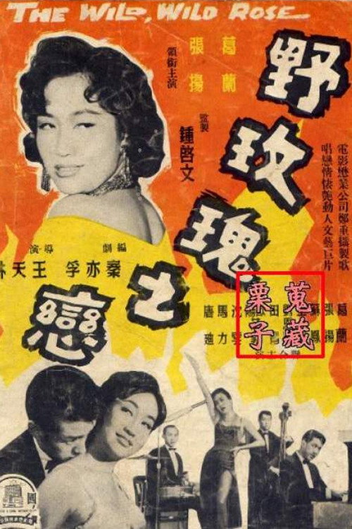 Póster de 野玫瑰之戀