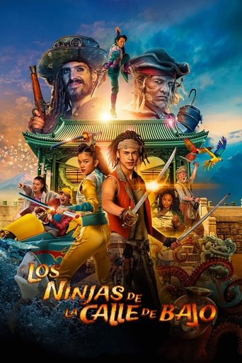 Póster de Los Ninjas de La Calle de Bajo