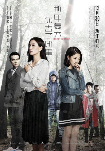 Póster de 那年夏天你去了哪裡