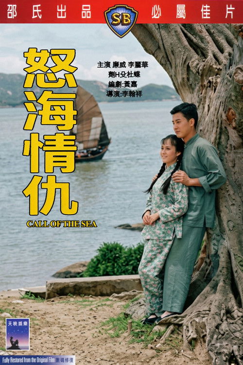 Póster de 怒海情仇