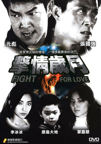 Póster de 擊情歲月