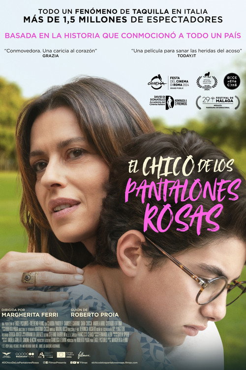 Póster de Il ragazzo dai pantaloni rosa