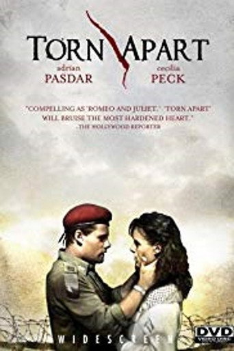 Póster de Torn Apart