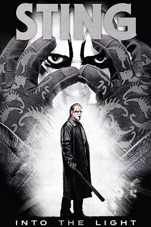Póster de Sting: Into the Light
