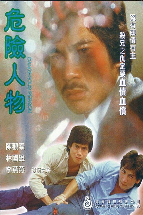 Póster de 危險人物