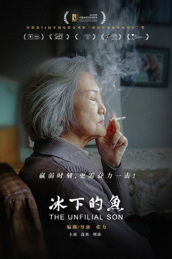 Póster de 冰下的鱼