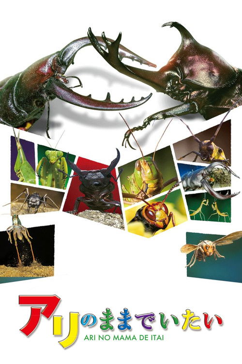 Póster de アリのままでいたい